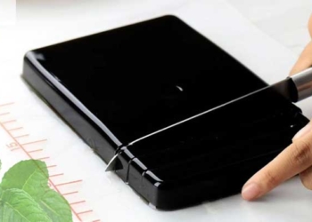 Manfaat Cincau Hitam, Persiapan Hadapi El Nino