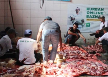 Tidak Semua Hewan Bisa untuk Kurban, Ini Jenis dan Syaratnya