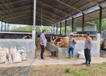 Penjualan Hewan Kurban di Majalengka Naik hingga 40 Persen