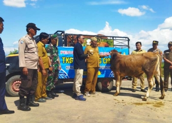 PT TKG Taekwang Cirebon Serahkan 16 Hewan Kurban