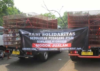 Tak Semuanya Mogok, Disperdagin Kabupaten Cirebon Minta Pedagang Daging Ayam Tetap Jualan