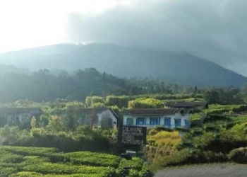 Gunung Dempo Meletus, Awan Panas Menyembur Sampai 2 Km ke Udara