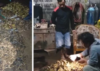 Nelayan Cilacap Temukan Bangkai Kapal Perang Dunia II dan Ribuan Amunisi di Selat Nusakambangan