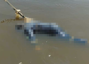 Penemuan Mayat di Cirebon, Diduga ABK Bunga Jaya yang Sebelumnya Dilaporkan Hilang, Ditemukan Mengambang di Perairan Karangreja