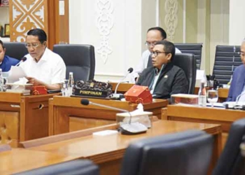 RUU Desa, Sepakat Dana Desa Ditingkatkan