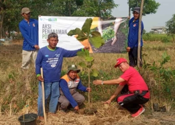 Camat dan Rumah Zakat Tanam 300 Bibit Pohon, Bukti Komitmen Melestarikan Lingkungan Hidup