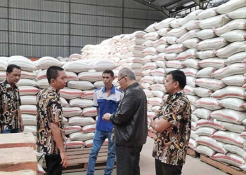 El Nino,Bulog Cirebon,Bulog,Stok Beras,Beras,Cirebon,