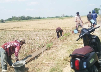 Pemdes Serang Wetan Cirebon Tagih Janji Pihak Kementan