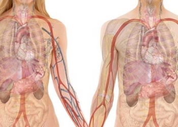 Penyakit Gagal Ginjal di Singapore Meningkat Drastis, Begini Penyebabnya