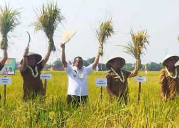 Petani Diminta Tak Jual Lahan Sawah
