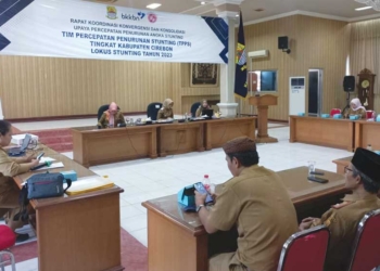 Wabup Cirebon Ayu : Data Stunting Valid, Intervensi Tepat