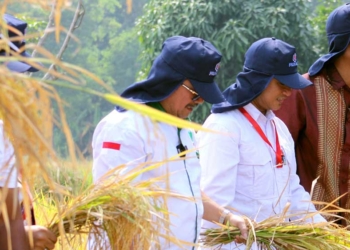 Pemkab Cirebon Jaga Lahan Pertanian