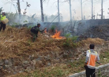 Puluhan Ribu Hektare Lahan di Majalengka Terbakar