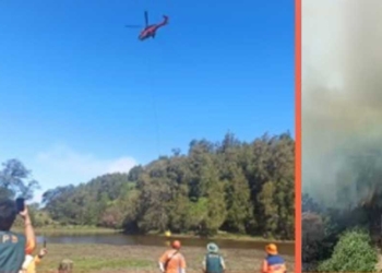 Tersangka Kebakaran Bukit Teletubbies, Gunung Bromo Dijerat UU Ciptaker, Terancam Penjara 5 Tahun dan Denda Rp.1,5 Miliar