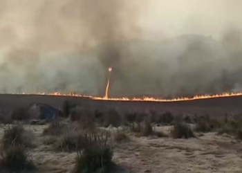 Tornado Api Muncul di Kebakaran Bukit Teletubbies Gunung Bromo