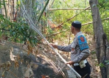 Karhutla Masih Hantui Majalengka