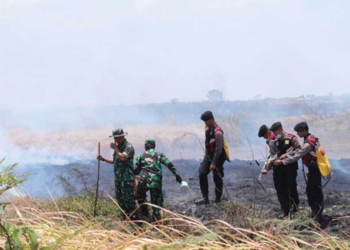 Kebakaran di Majalengka, Hutan Karet Dilalap Api