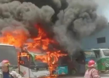 Kebakaran di Cirebon, 4 Bus Dilalap Api di Pool Sahabat di Plered