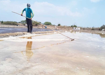 Harga Garam Terus Anjlok