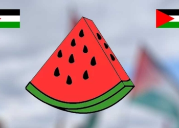 Viral Buah Semangka Jadi Simbol Dukungan untuk Palestina