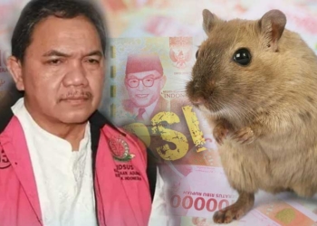 Korupsi BTS, Pejabat BPK Achsanul Qosasi Jadi Tersangka, Berikut Profil Singkatnya