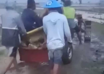 2 Warga Indramayu Tewas Tersambar Petir, Petani dan Pengembala Kambing