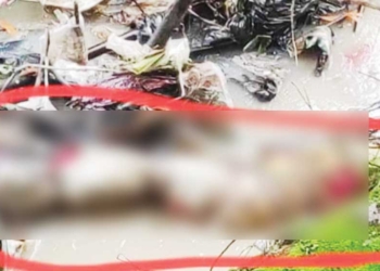 Menguak Misteri Pemenuman Mayat di Cirebon, Jasad Perempuan Mengambang di Sungai Wanganayam Jatipura, Ternyata Diduga Dibunuh Suami Sendiri
