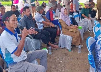 Jatah Pupuk Subsidi Berkurang, Petani Cirebon Mengeluh