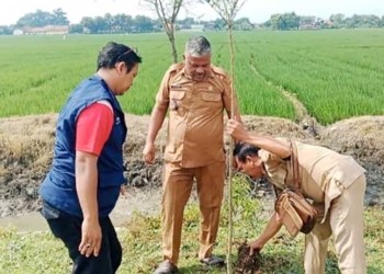 Pemdes dan Warga Jermaras Kidul Lakukan Penananam Pohon