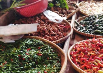 Awal Ramadan Harga Cabai di Kota Cirebon Tembus Rp95 Ribu Per Kilogram