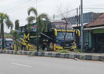Bus Dilarang Gunakan Klakson Telolet