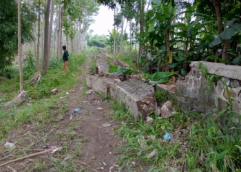 Diterjang Banjir di Cirebon Timur, Tanggul Sungai Cisanggarung Jebol, Warga Jatiseeng Kidul Minta BBWS Lakukan Perbaikan