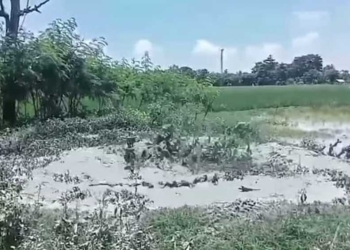 Semburan Lumpur Bercampur Gas di Indramayu Ancam Puluhan Hektare Sawah