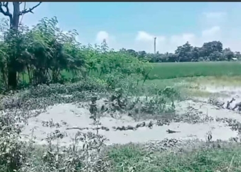 Sumur Zaman Belanda di Tengah Sawah Indramayu Semburkan Lumpur Bercampur Gas