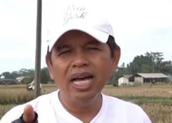 Kang Dedi Mulyadi Cetak Areal Sawah Baru untuk Bantu Ketersediaan Beras Nasional