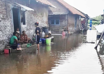 Banjir Rob Hantui Wilayah Pesisir Cirebon