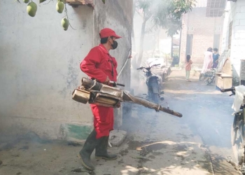 Dinkes Kabupaten Cirebon Tegaskan Syarat Fogging Swasta Perusahaan Pengendali Vektor