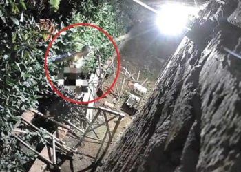 Pria Bugil Bertopeng Tebar Teror di Desa Wangkelang Cirebon, Satroni Rumah Warga di Malam Hari