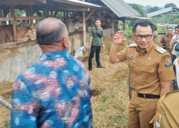 Pj Bupati Cirebon Wahyu Mijaya Tinjau KTTS Padusan, Pastikan Hewan Kurban Sehat hingga ke Masyarakat