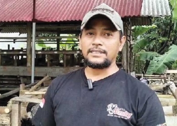 Jelang Iduladha, Domba Garut Diburu Pembeli