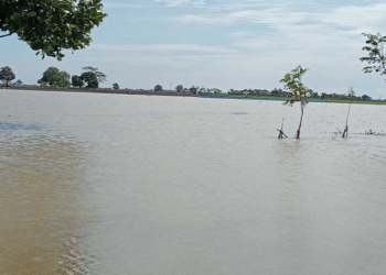 Belasan Ribu Rumah Terendam Banjir di Cirebon