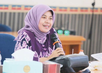 Negatif Thinking, PDIP dan PKB Ngotot E1 di Pilbup Cirebon 2024