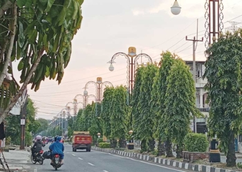 Pemasangan Lampu Tematik PJU di Kabupaten Cirebon Bakal Diperluas