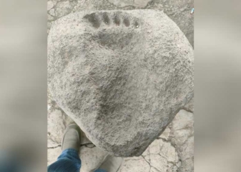 Penemuan Situs Batu Tapak Kaki Raksasa di Dalam Sumur Tua di Balongan Indramayu
