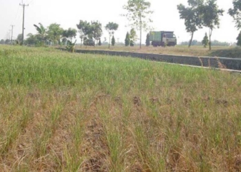 19 Kecamatan di Majalengka Rawan Kekeringan