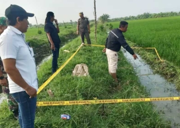 Lagi, Petani di Indramayu Tewas Akibat Jebakan Tikus Elektrik