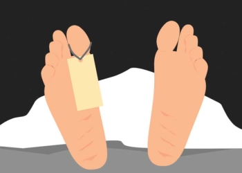 Renggut 8 Nyawa, Daerah ini Nyatakan Darurat Wabah DBD dan Malaria