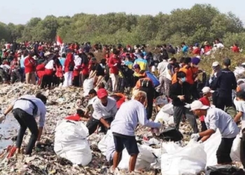 Warga Bersama Pandawara Bersihkan Tumpukan Sampah di Pantai Baro Gebang Cirebon