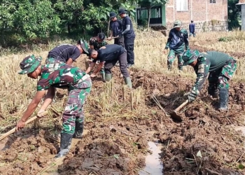 Dukung Ketahanan Pangan, Satgas TMMD Bantu Petani Desa Kubang Cirebon Kelola Sawah