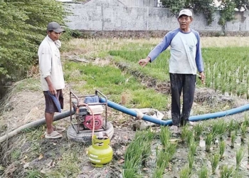 Petani Cirebon Gunakan Gas Elpiji sebagai Pengganti BBM untuk Pompa Air